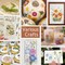 12 Packs Real Dried Flowers for Crafts, Birth Month Flower, Bulk Natural Pressed Flowers for Resin, Scrapbooking, Bookmarks, Glass Frames, Cake Decor with Tweezers - Muti Color